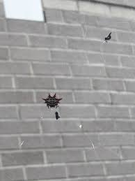 Maybe you would like to learn more about one of these? A Spider With 6 Red Spikes And About The Size Of Dime Found In Southwest Florida Whatsthisbug