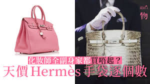 She is currently a member of the executive council (exco). Hermes Birkinä¸–ç•Œä¸Šæœ€é›£è²·åˆ°çš„æ‰‹è¢‹10å€‹æ•…äº‹äº†è§£å‚³å¥‡è¨­è¨ˆ é¦™æ¸¯01 ä¸€ç‰©