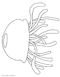 Its length is more than 2.5 meters and its weight almost 700 kg. Jellyfish Coloring Pages For Preschoolers Coloring Pages Printable Com