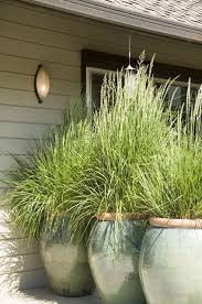 While privacy fences work great in smaller yards, tall grasses and bamboo. 13 Attractive Ways To Add Diy Privacy Screen To Your Yard Deck