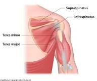 Image result for icd 10 code for left supraspinatus tendinosis