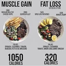 Nutrition Fitness Musculation En 2020 Aliment Qui Fait Maigrir Aliments Faibles En Calories Calories Des Aliments