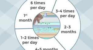 how to help guppy fry grow 10 steps with pictures wikihow