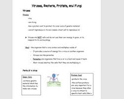 Differentiated Notes For Viruses Bacteria Protists And Fungi Protists Differentiation Printable Notes