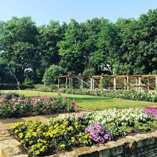 Mainz Im Sommer Mainz Instagram Instagram Posts