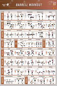 Weight Training Posters Bodybuilding Gym Exercise Charts