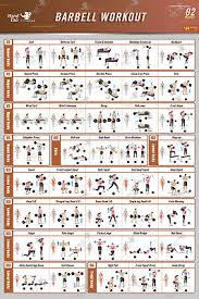 weight training posters bodybuilding gym exercise charts