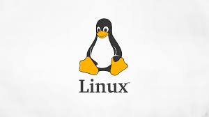 Hasil gambar untuk linux