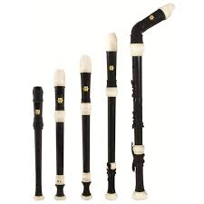 Pin On Recorder Unit