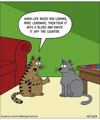 When Life Gives You Lemons Metzger Seltsame Katzen Katze Comic