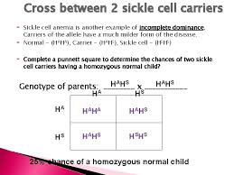 Two sisters demystifying #biology with humor & relevance. What Is A Word For Allele