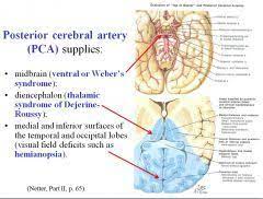 Sbm Unit 7 Neurology Flashcards Cram Com Study Flashcards Emergency Medicine Occupational Therapy Activities