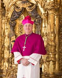 En las iglesias católicas y ortodoxas orientales, así como en la mayoría de las iglesias anglicanas, un obispo es un sacerdote que, por medio de la consagración sacramental, tiene poderes ministeriales al igual que prerrogativas administrativas especiales. El Obispo Diocesano Catedral De Guadix