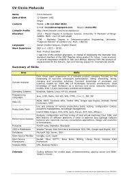 Headers are positioned above main body paragraphs. Cv Template Per Developer