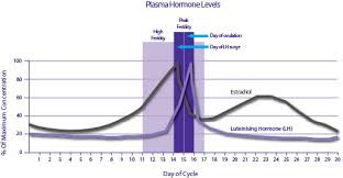 ovulation calculator clearblue