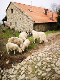 bonito ejemplar foto de restaurante val poldros moncao tripadvisor
