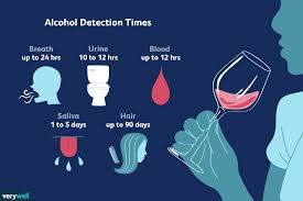 how long does alcohol stay in your system