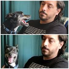 Yogibear meme video screenshot