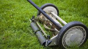 There are many types of artificial grass available with a range of costs; How Much Does Lawn Mowing Cost Mosquito Repelling Plants Lawn Mower Lawn Mower Maintenance