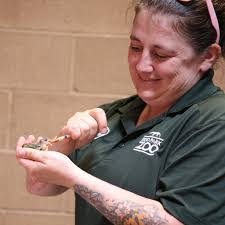 Janet Lape's Instagram, Twitter & Facebook