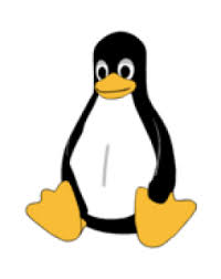 Does this work in ubuntu? How To Install Adobe Photoshop Or Adobe Illustrator On Ubuntu 16 04 18 04 High Functioning Sociopath