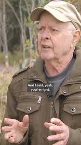 🏡🕊️ This Backyard Turned Into a Birdhouse Wonderland, What started as a  mosquito problem turned into Vermont’s most colorful surprise. 🌈, Jay  Purvis just wanted to enjoy his backyard view—30 years and ...