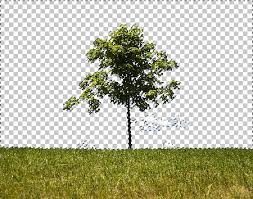 Png is also a picture format, png can be used for editing. Remove Background From Photo