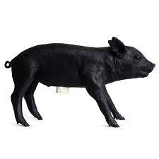 Ships free orders over $39. Areaware Pig Bank Piggy Bank Connox