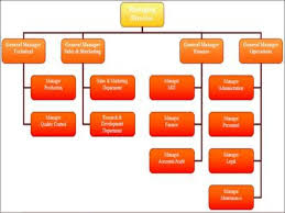 organogram of pepsi essay sample december 2019