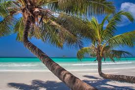 Photos, address, and phone number, opening hours, photos, and user reviews on yandex.maps. 14 Top Rated Beaches In The Seychelles Planetware