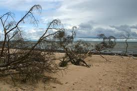 Thomas ottosson managing director at consat telematics ab göteborgsområdet. Video Beautiful Latvia Planet75 Com