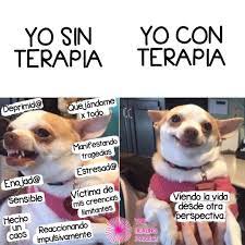 Yo Antes Vs Yo Despues De Terapia Gracias A Todos Los Psicologos Terapeutas Psiquiatras Coach Y Trabajadores De La Luz Que Nos Ayudan
