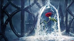 3 years ago3 years ago. The Shosh Glass With Its Rose Red Eternal Beauty And The Beast Spotern