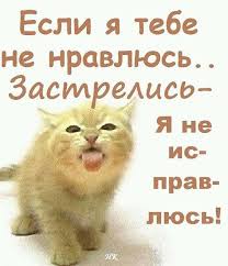 если я тебе не нравлюсь застрелись я не исправлюсь 99 Odnoklassniki Yumornye Citaty Yumoristicheskie Citaty Mudrye Citaty