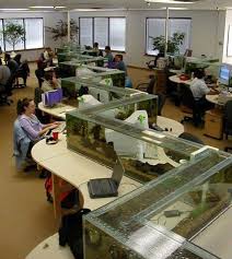 Find here details of companies selling fish tanks, for your purchase requirements. Aquarium At Every Desk Damnthatsinteresting