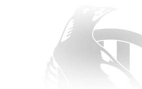 Gm k hb d m t g b ho ff fa ga cl cg r50: Official Afl Website Of The Collingwood Football Club