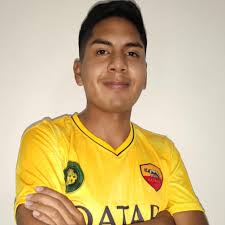 Liga Deportiva Barrial Cochapamba Sur