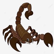 Browse hindi top albums latest hindi playlists 10 tato tribal kalajengking keren ini merupakan hanya beberapa contoh dari ribuan gambar tato. Gambar Clipart Kala Jengking Kartun Coklat Arachnida Arthropod Kala Jengking Coklat Png Dan Psd Untuk Muat Turun Percuma