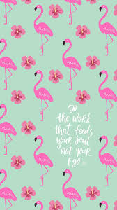 Elevate Your Mood On October 23rd Colorful Zone Flamingo Wallpaper Cute Patterns Wallpaper Iphone Background