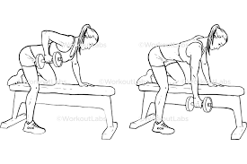 We did not find results for: Single One Arm Dumbbell Bench Rows Workoutlabs Exercise Guide