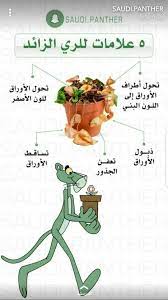 معلومة information ما هي أسباب التعب والارهاق طرق علاج التهاب اللوزتين ما هي عوارض ضربة الشمس طريقة التخلص من ا container herb garden planting pots diy plants