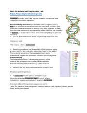 Luckily, students can practice using lab equipment with gizmos! Dna Replication Gizmo Docx Dna Structure And Replication Lab Https Www Explorelearning Com Vocabulary Double Helix Dna Enzyme Mutation Nitrogenous Course Hero