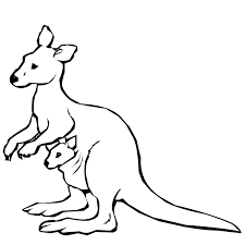 Animal coloring pages are a fantastic way to teach young children about the various species of animals. Kangaroo Colouring Page Animal Coloring Pages Kangaroo Drawing Zoo Animal Coloring Pages