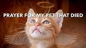 Burial service for an animal companion from judaism. Pray As You Go Losing A Pet Youtube