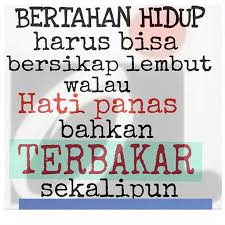 Kata Mutiara Motivasi Kehidupan For Android Apk Download