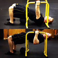 Todd Cambio On Instagram Top 5 Pull Progressions To Do A Real Pull Up 5 Body Rows Use A Barbell In A S Squat Rack Gym Workouts Machines Workout Machines