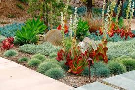 Garden Ideas Landscaping Ideas Concrete Paving Garden Lighting Ice Plant Desert Landscape Design Succulent Landscape Design Backyard Landscaping Designs