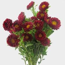 Aster flowers convey love, gracefulness, and perseverance, all characteristics of marriage, which is why they are extensively used in wedding bouquets. Aster Flowers Blooms By The Box