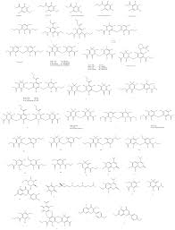 Image result for Menisorus pauciflorus