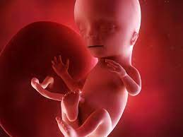 Yes, it can take the hormones a couple of months to settle. 15 Weeks Pregnant Your Baby Can Hear Your Heartbeat Now Times Of India